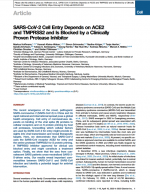 SARS-CoV-2-Cell-Entry