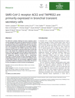 SARS-CoV-2-receptor