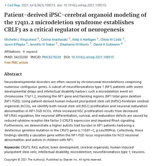 Patient-derived iPSC-cerebral organoid modeling of the 17q11.2 microdeletion syndrome establishes CRLF3 as a critical regulator of neurogenesis