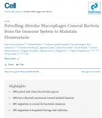 Patrolling-Alveolar-Macrophages