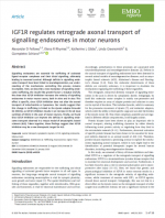 IGF1R-regulates-retrograde