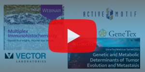 Webinare von Vector Laboratories, Active Motif und Genetex