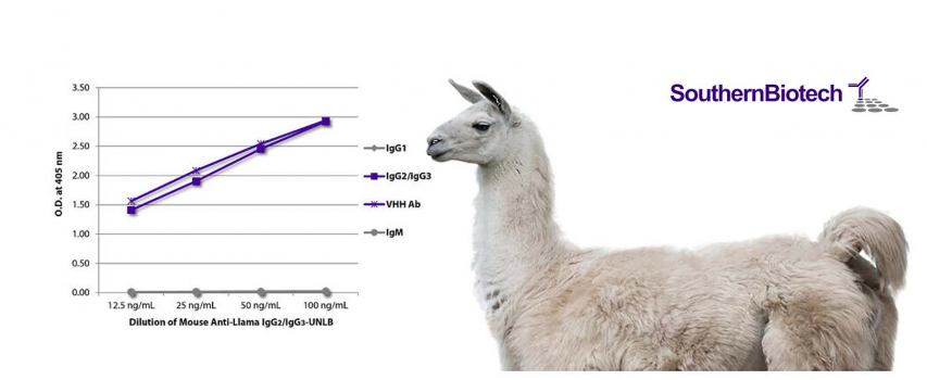 Anti-Llama Secondary Antibodies from SouthernBiotech