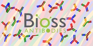 bioss-conjugated-antibodies
