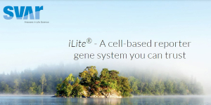 iLite® Cell-Based Solutions