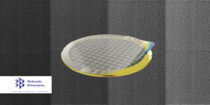 Molecular Dimensions ANTcryo™ Cryo-EM Grids