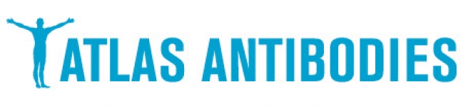 atlas-antibodies