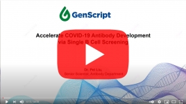 Genscript-covid-single-b-cell-screening